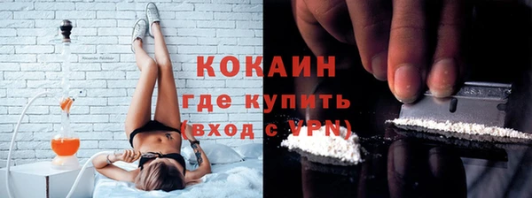 сатива Лабытнанги