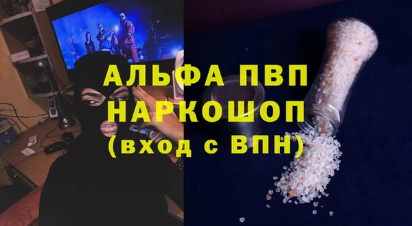 сатива Лабытнанги
