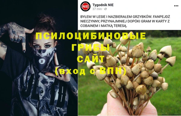 синтетический гашиш Ладушкин