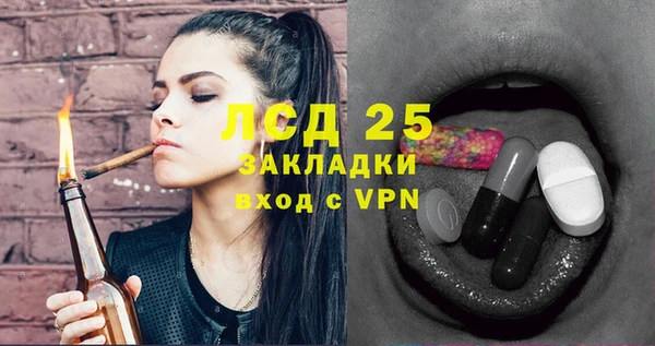 сатива Лабытнанги
