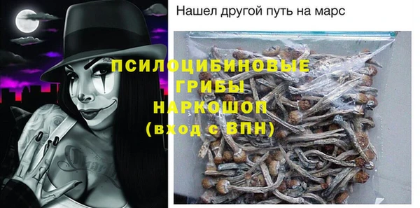 ПСИЛОЦИБИНОВЫЕ ГРИБЫ Липки