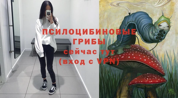 СК Лагань