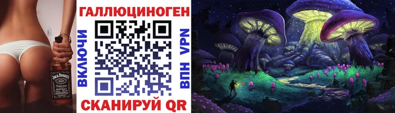 Псилоцибиновые грибы ЛСД  купить наркотики цена  blacksprut вход  Лагань 